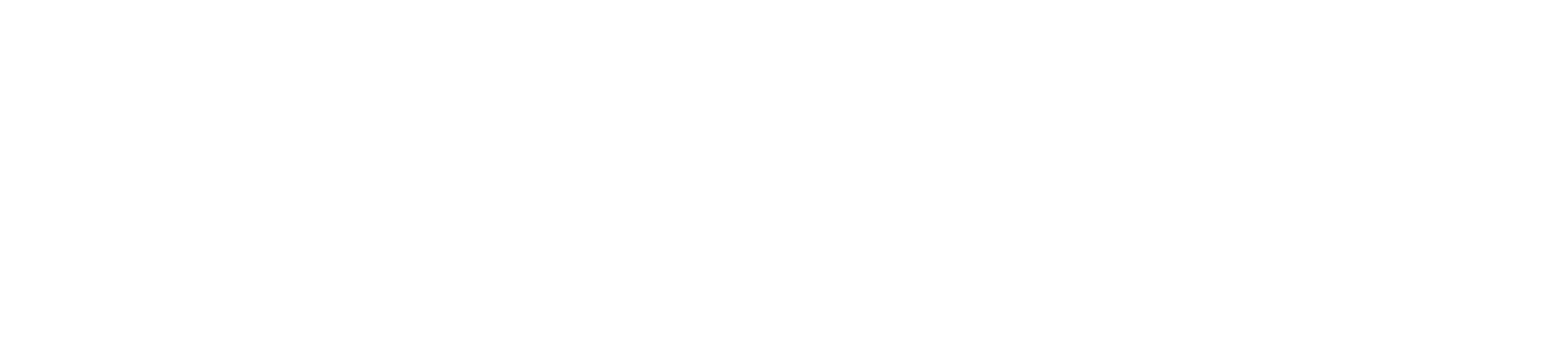 CARSELECTION